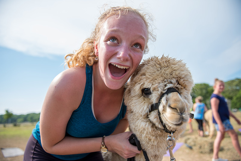 GEM_Island-Alpaca_Alpaca-Yoga_Sophia-McCarron_01.jpg