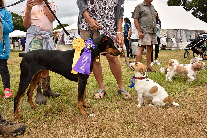 LV_Ag-Fair_Dogshow_Best-in-Show_03