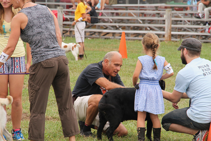 Tom Shelby judged the dog show.