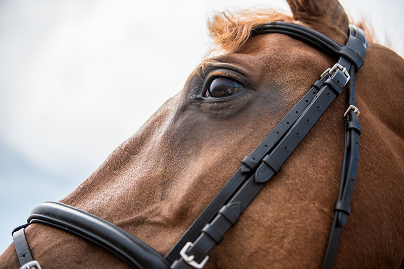 GEM_Maddy-Alley_Horseback-Riding-Workout_12.jpg