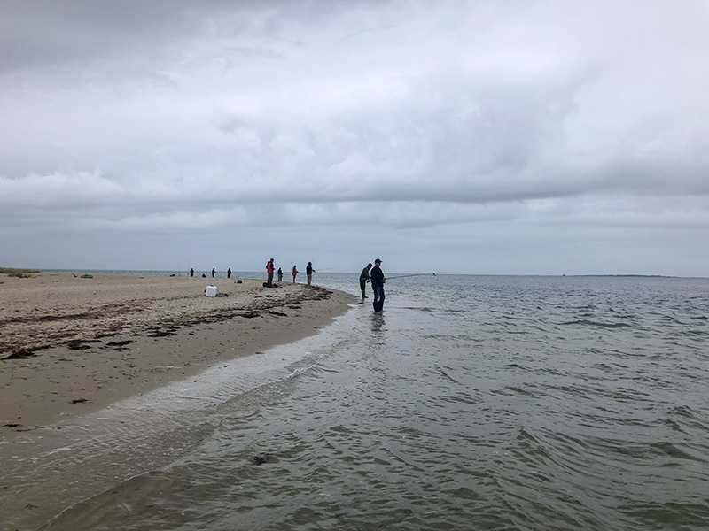 Fishing-Report_04.jpg