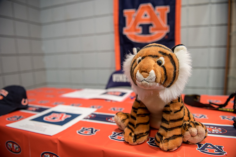 Ava Stearn’s dad Bret decorated the signing table with all things Auburn.