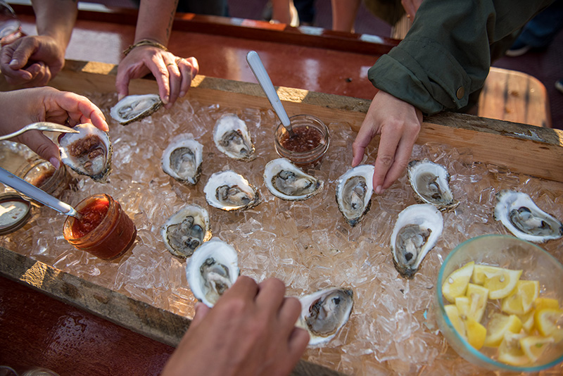 GEM_Farm-Field-Sea_Pirate-Adventures_Cottage-City-Oysters_22.jpg