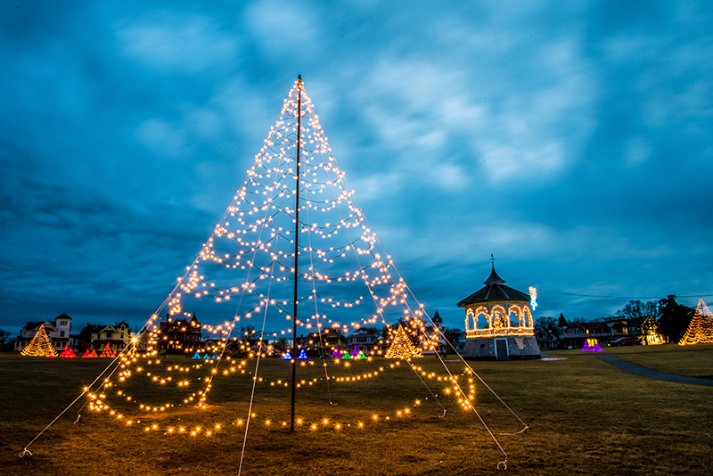 GEM_Ocean-Park_Christmas-Lights_03-4.jpg