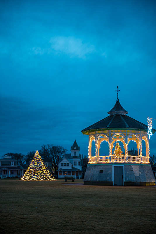 GEM_Ocean-Park_Christmas-Lights_04.jpg