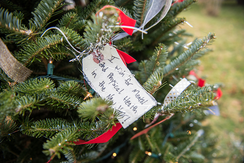 GEM_Wishing-Tree_Polly-Simpkins_01.jpg