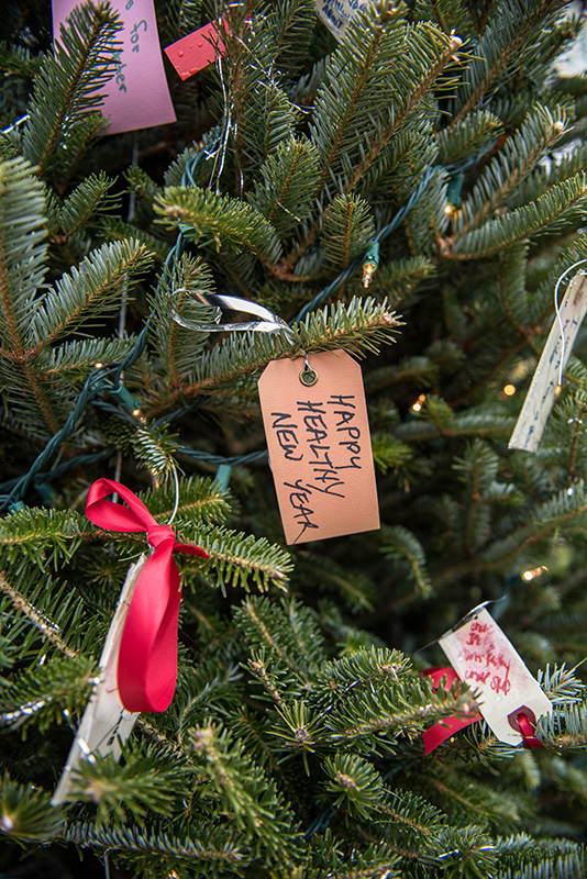 GEM_Wishing-Tree_Polly-Simpkins_02.jpg