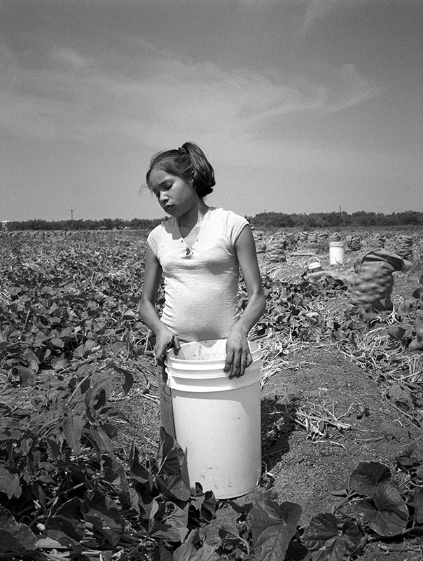 Migrant worker in Texas.