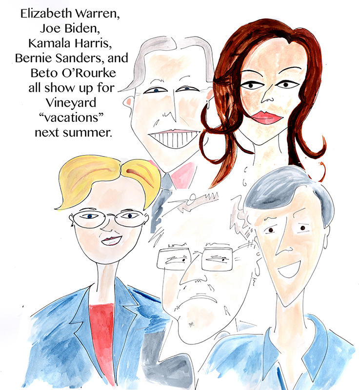 2019 Prediciton politics