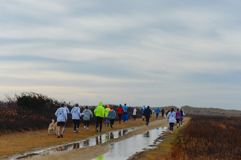 ED_PolarBearPlunge-1.jpg