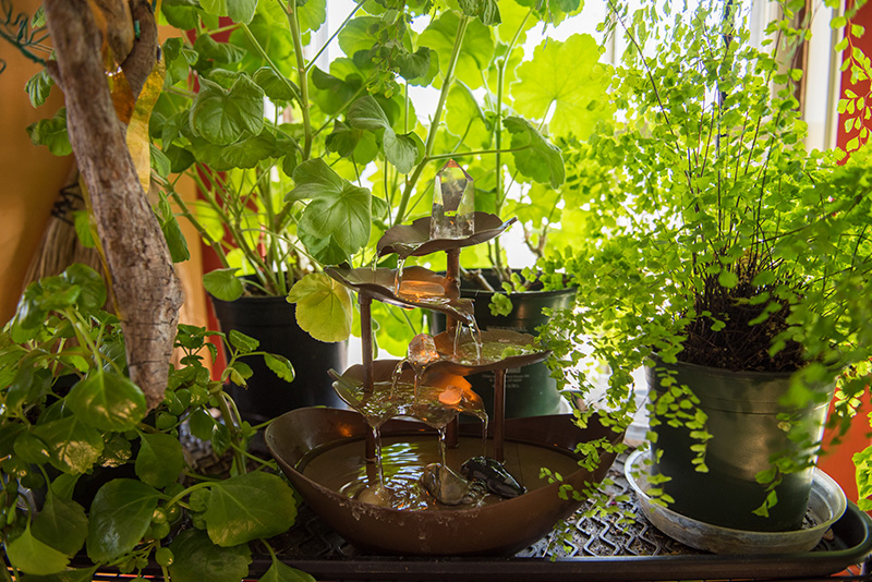 GEM_Gardens-of-Love_Anna-Edey_06.jpg