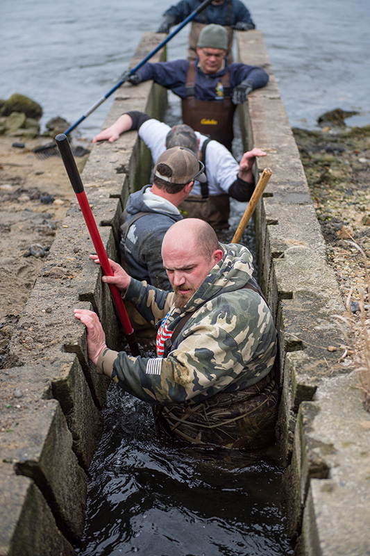 GEM_Herring-Run_Brian-Patrick-Hall_06