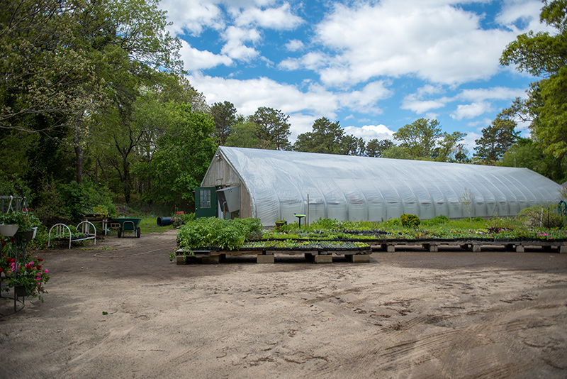 GEM_Community-Greenhouse_01.jpg