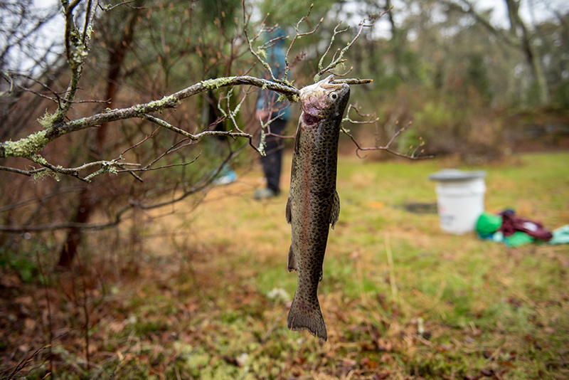 GEM_Kids-Trout-Derby_08.jpg