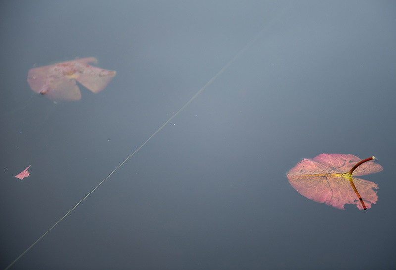 GEM_Kids-Trout-Derby_11.jpg