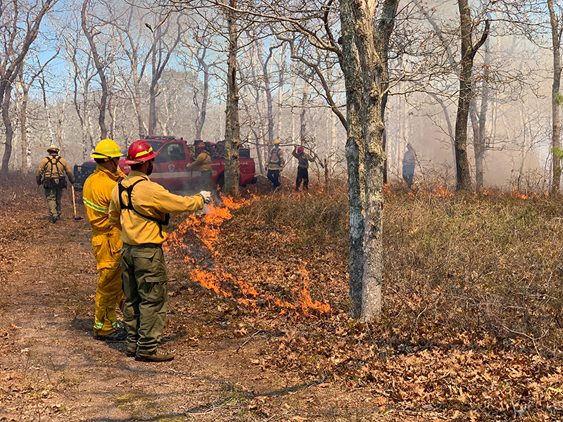 RS_Controlled_Burn02.jpg