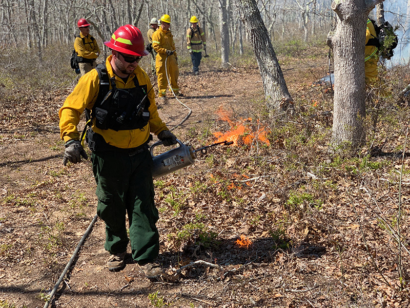 RS_Controlled_Burn03.jpg