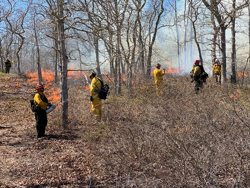 RS_Controlled_Burn04.jpg