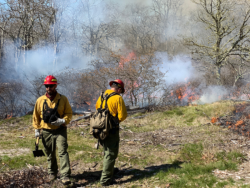 RS_Controlled_Burn06.jpg