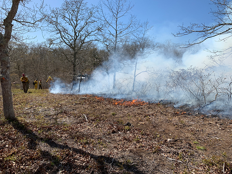 RS_Controlled_Burn08.jpg