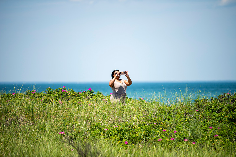Beach goers stop and take photos of the scene.