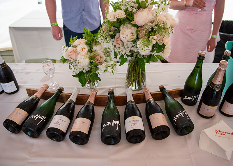 GEM_Taste-of-the-Vineyard_01.jpg