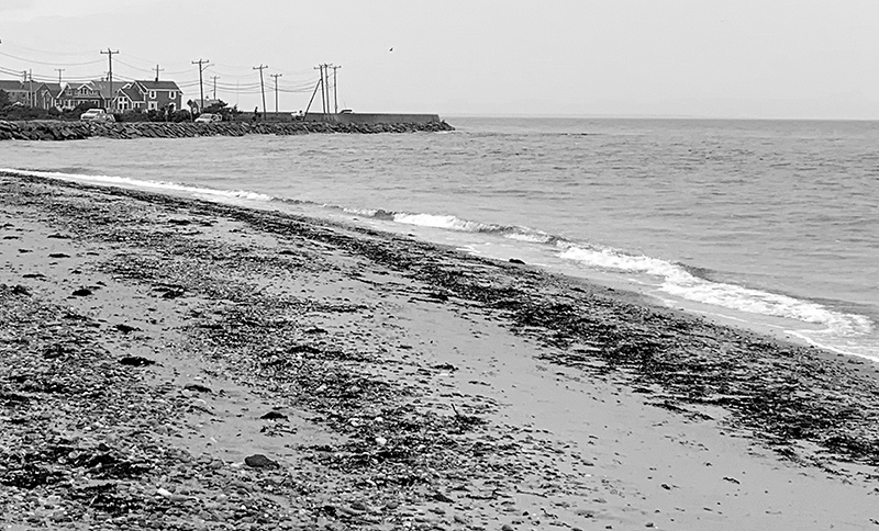 Beach scene as it appears in June 2019.