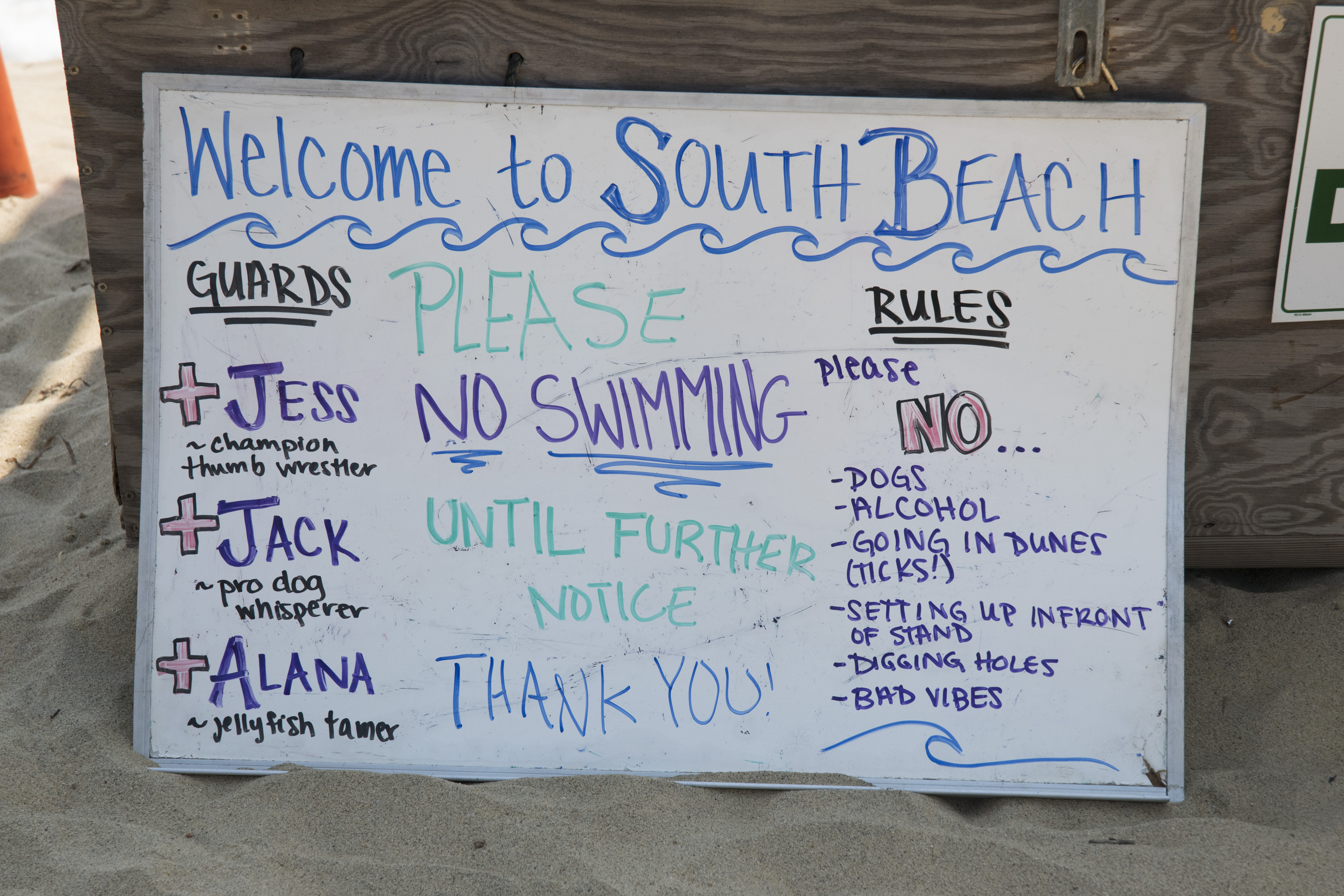 LP_South_Beach_Shark_01