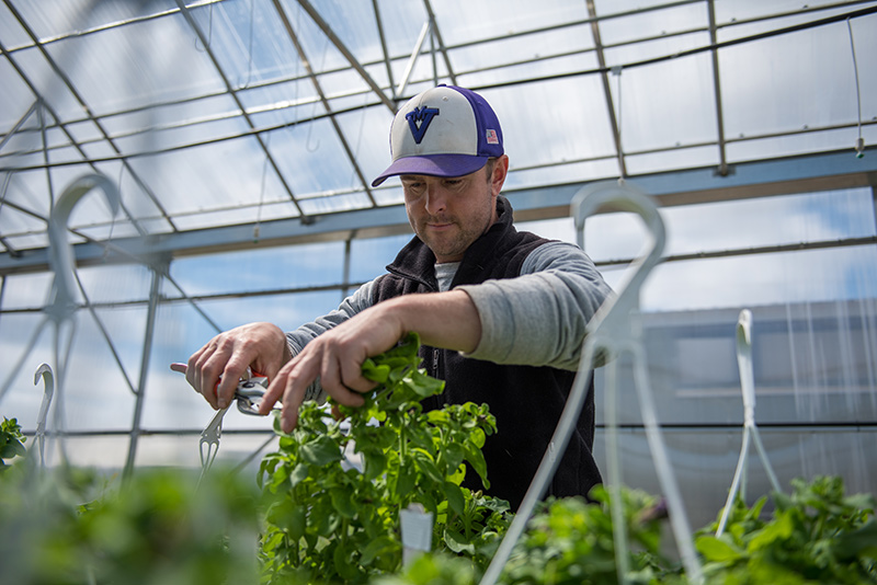 GEM_MVRHS_Plant-Sale_Kyle-Crossland_02.jpg