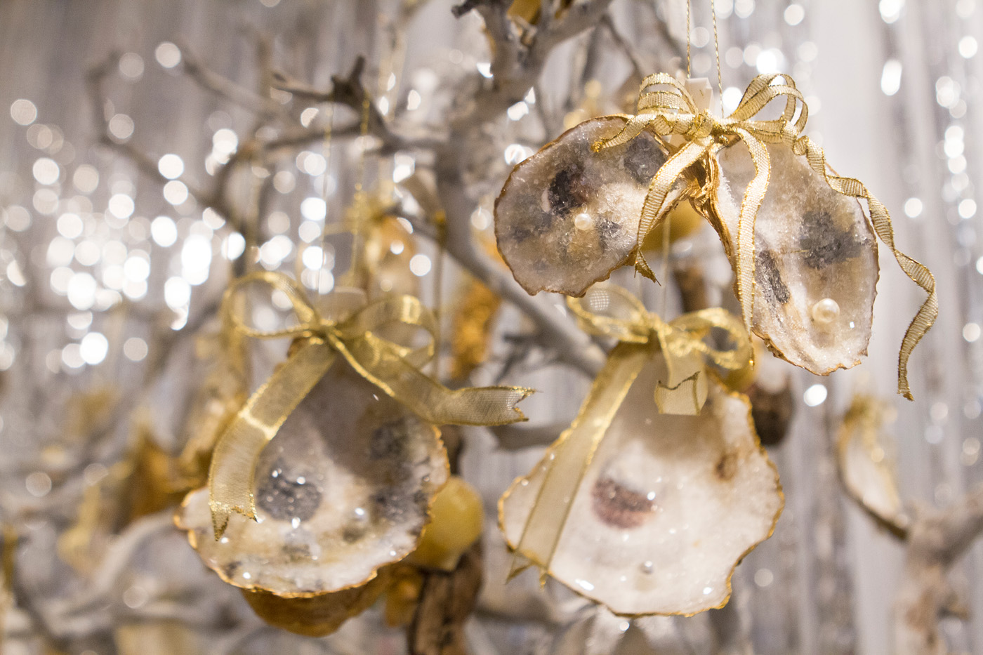 Featherstone_Holiday_Show_06.jpg