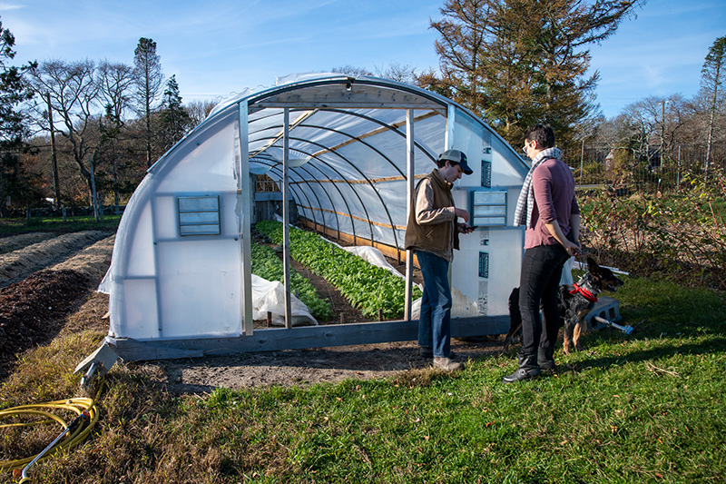 LP_Beetlebung_Farm_08.jpg