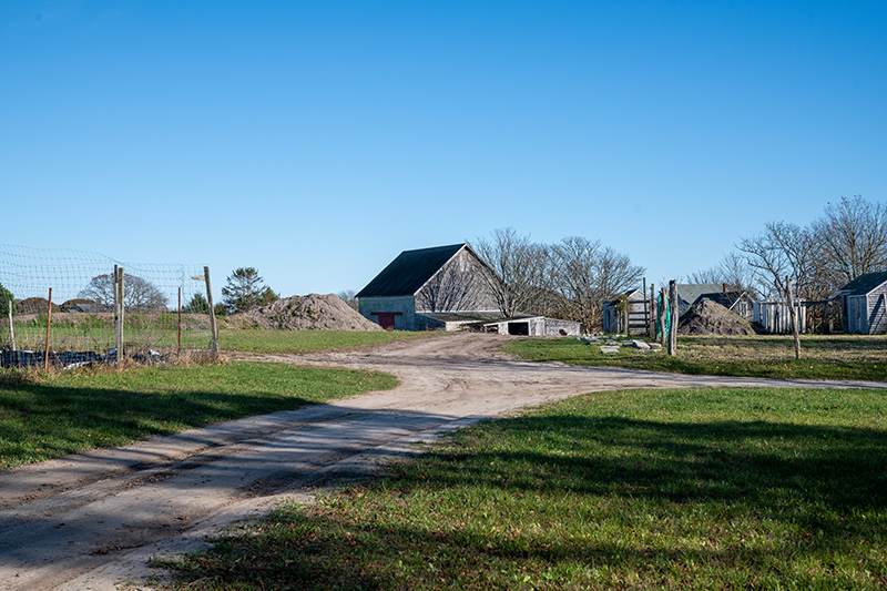 LP_Beetlebung_Farm_09.jpg