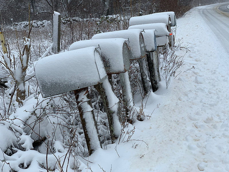 IMG-1563