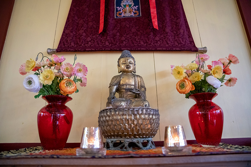 LP_Bodhi-Path_05.jpg