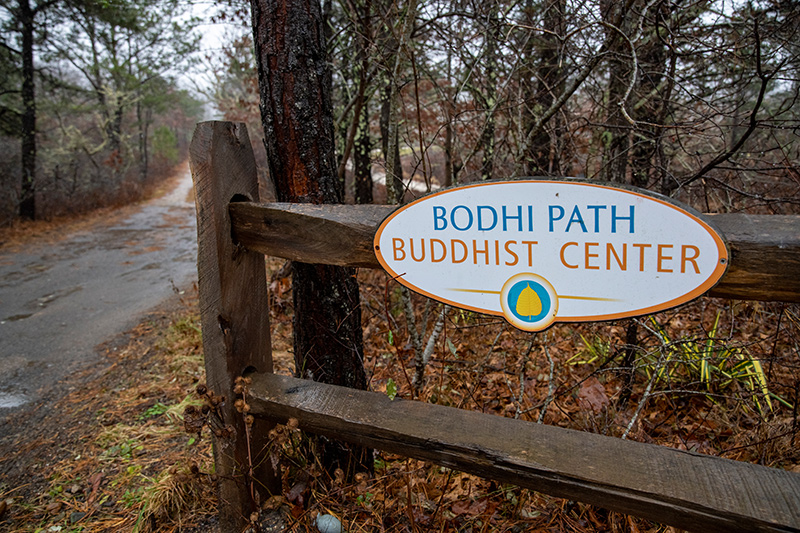 LP_Bodhi-Path_13.jpg