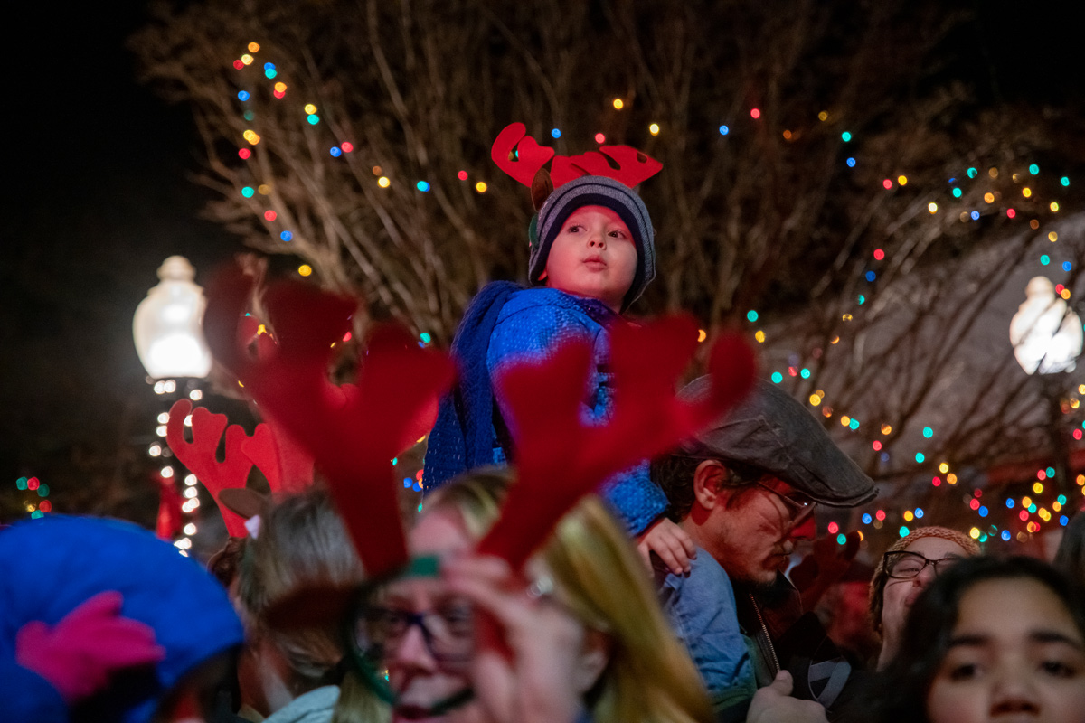 LP_OB_Tree_Lighting_09.jpg