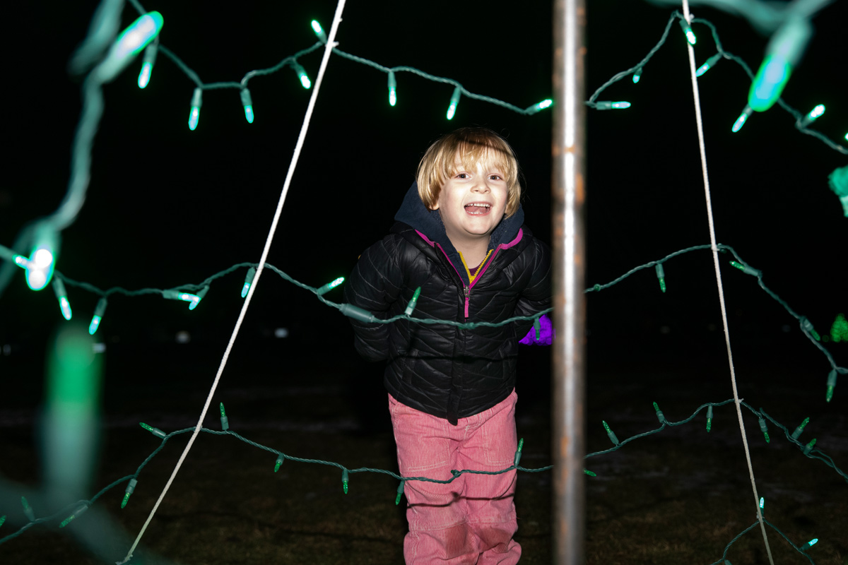 LP_OB_Tree_Lighting_14.jpg
