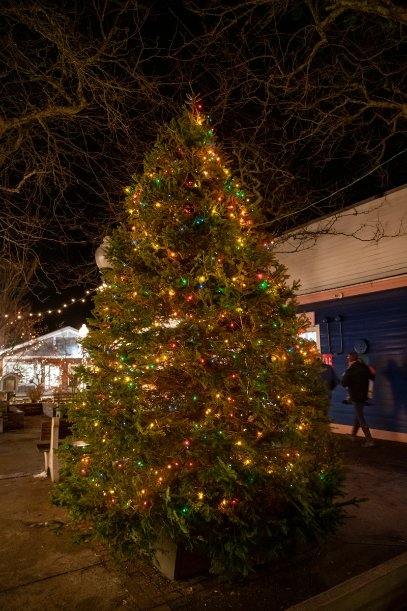 LP_OB_Tree_Lighting_15.jpg