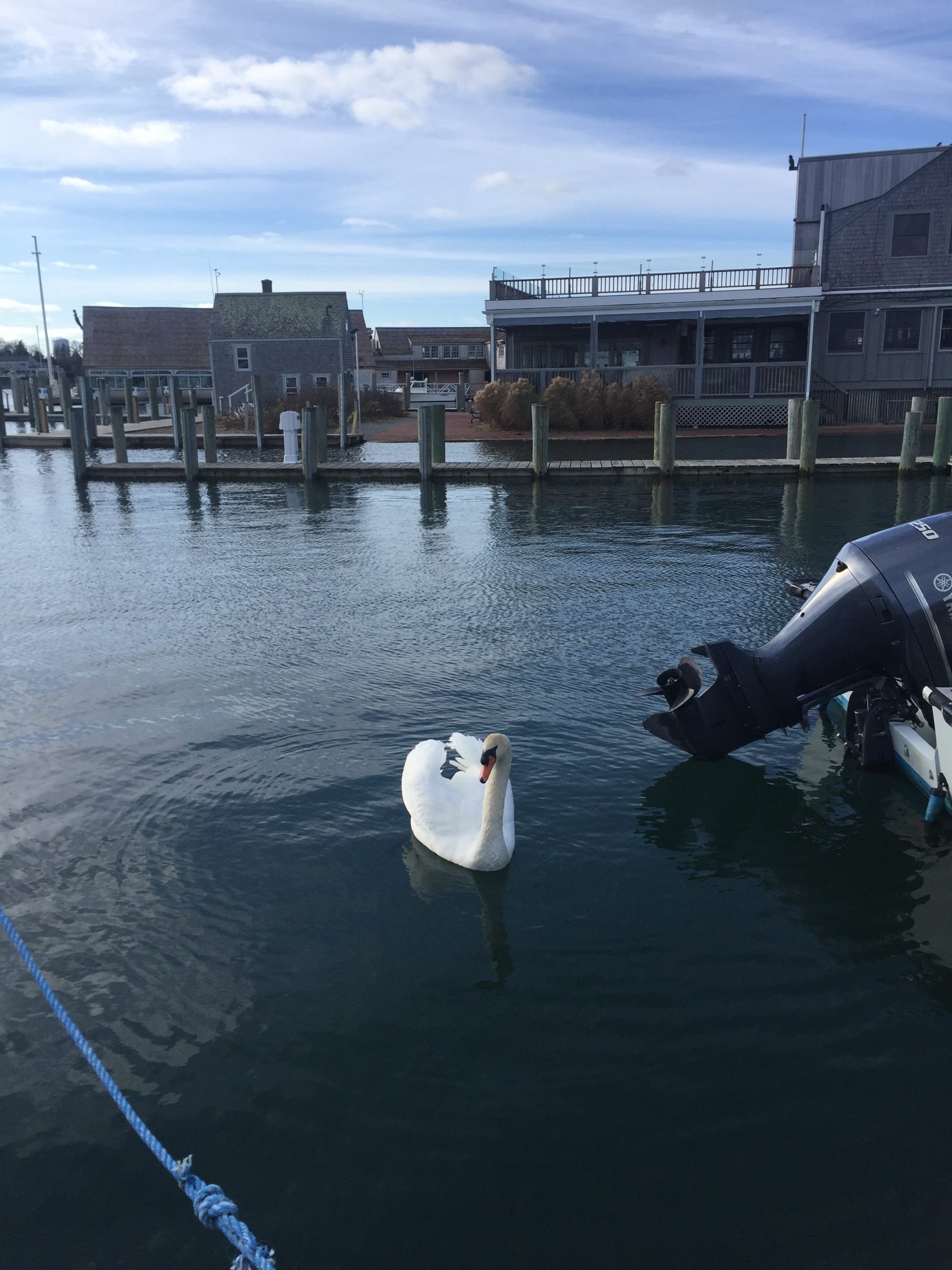Edgartown Harbor.