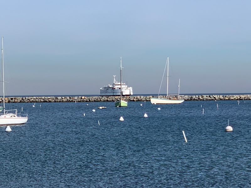 IMG_4117.jpg