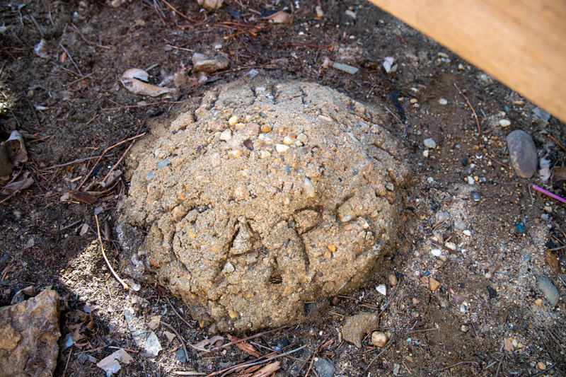 LP_Buehler-Time-Capsule_01.jpg