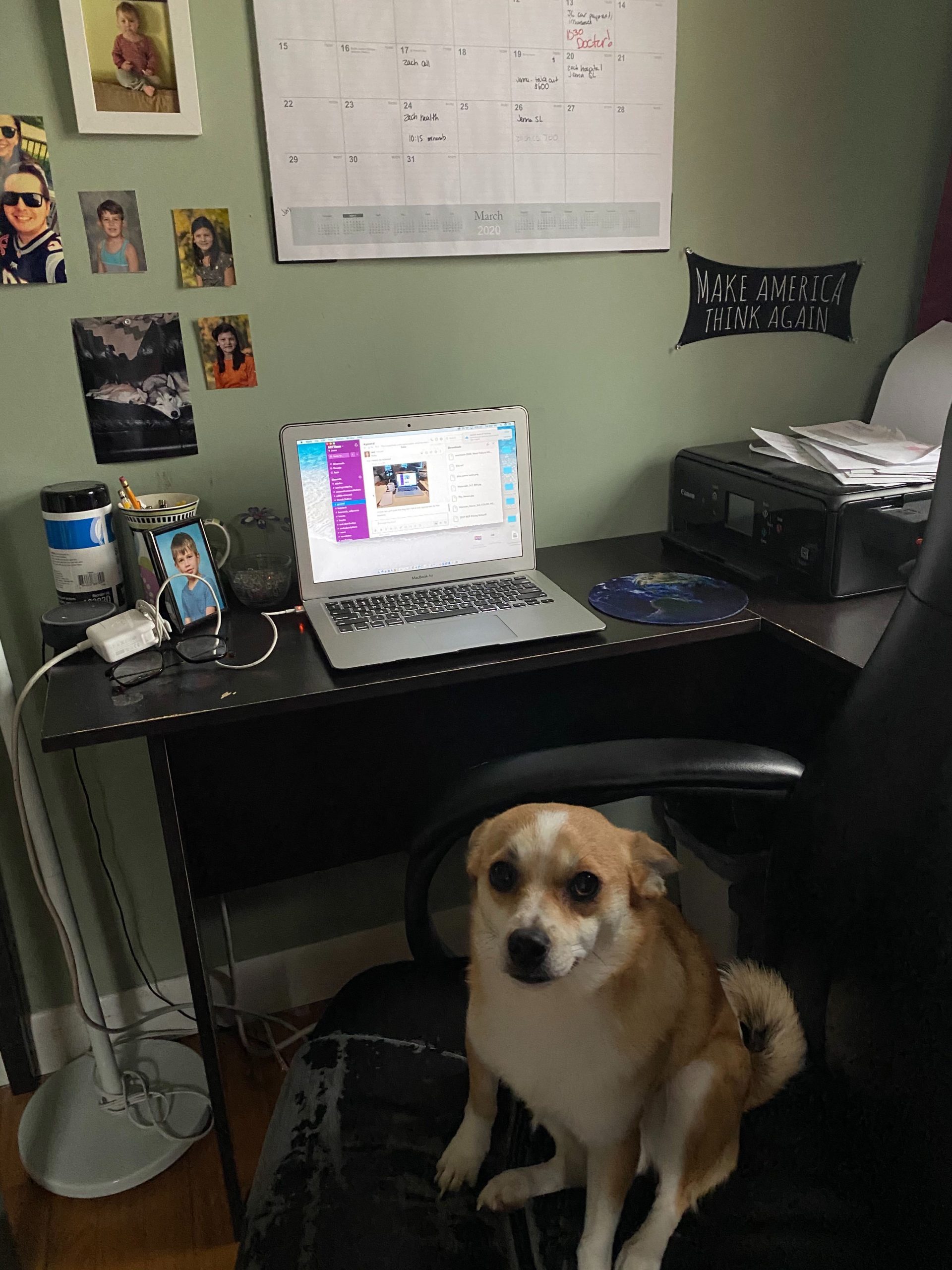 Ad Sales’ Jenna Lambert’s home office with dog Doobie.