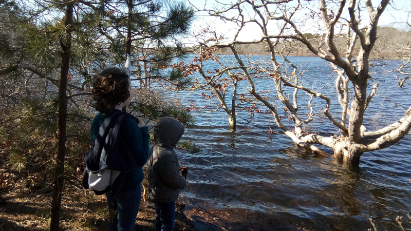 IMG_20180310_100159.jpg