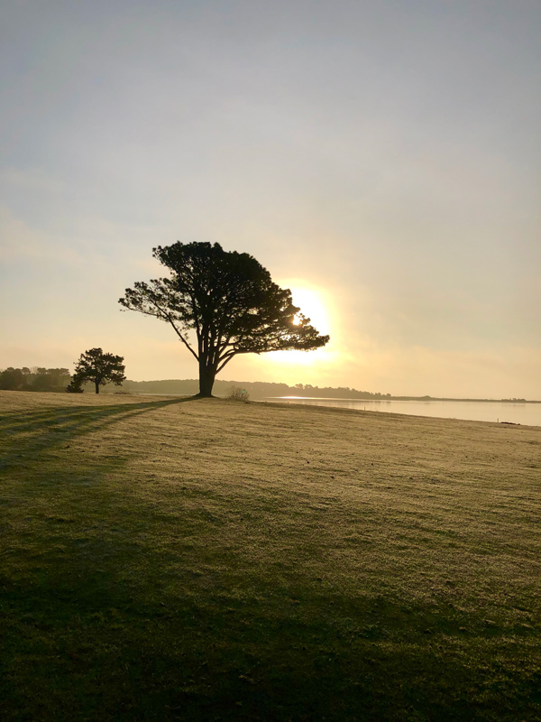 Solitary sunrise.