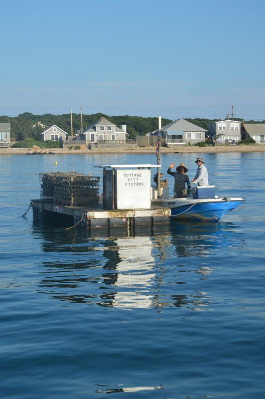 DSC_1422.jpg