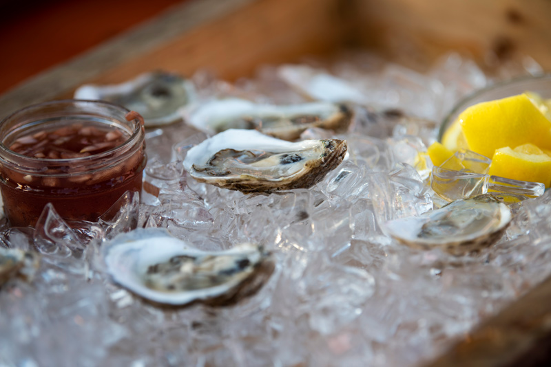 GEM_Oyster-Tour_14.jpg