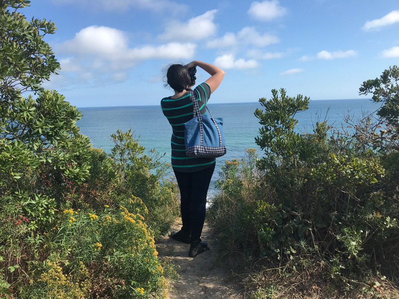 clay-head-overlook.jpg