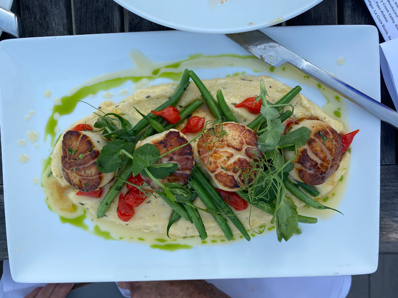 dunes-scallops-wide.jpg