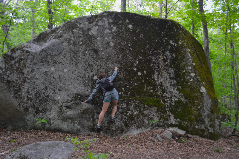 goerg-b-parker-woodlands-boulder.jpg