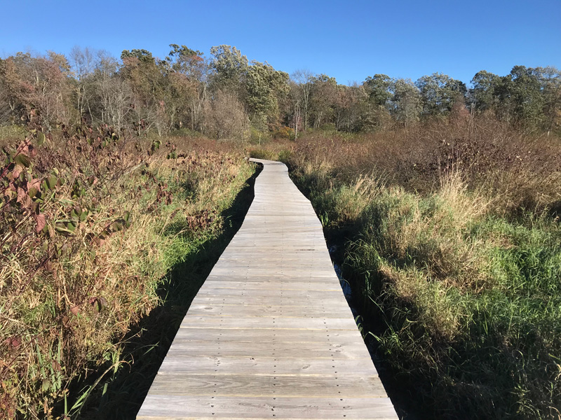 white-center-boardwalk.jpg